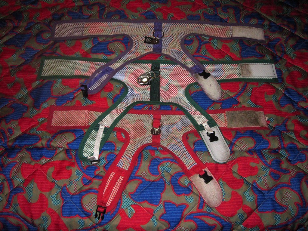 Waterproof Adventure Harness