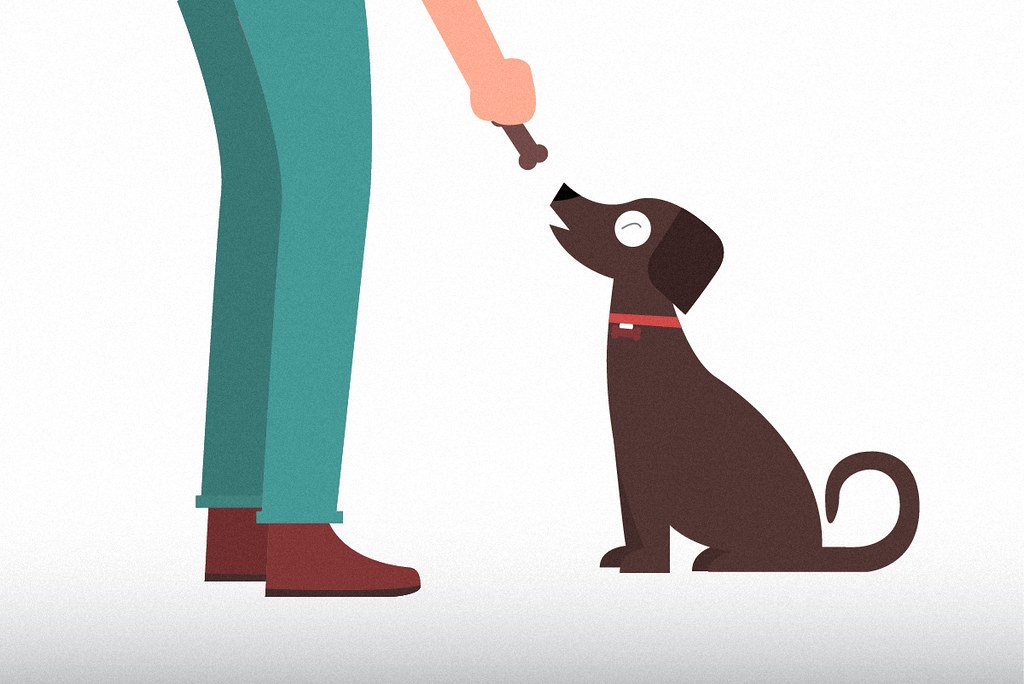 Treat-Dispensing Puzzle
