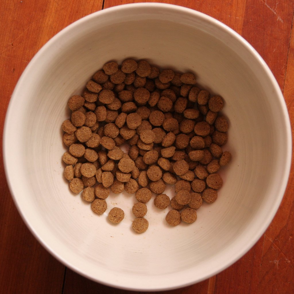 Slow Feed Dog Bowl